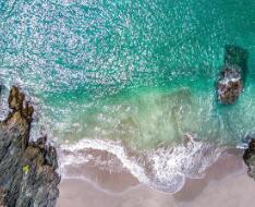 家书阅读答案(傅雷家书 阅读答案)