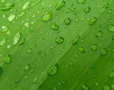 高考倒计时一个月（在高考倒计时一个月，冲刺复习有哪些注意事项）