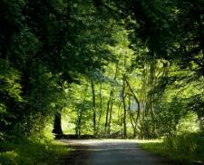 铜仁地区民族中学（贵州有多少所高中）